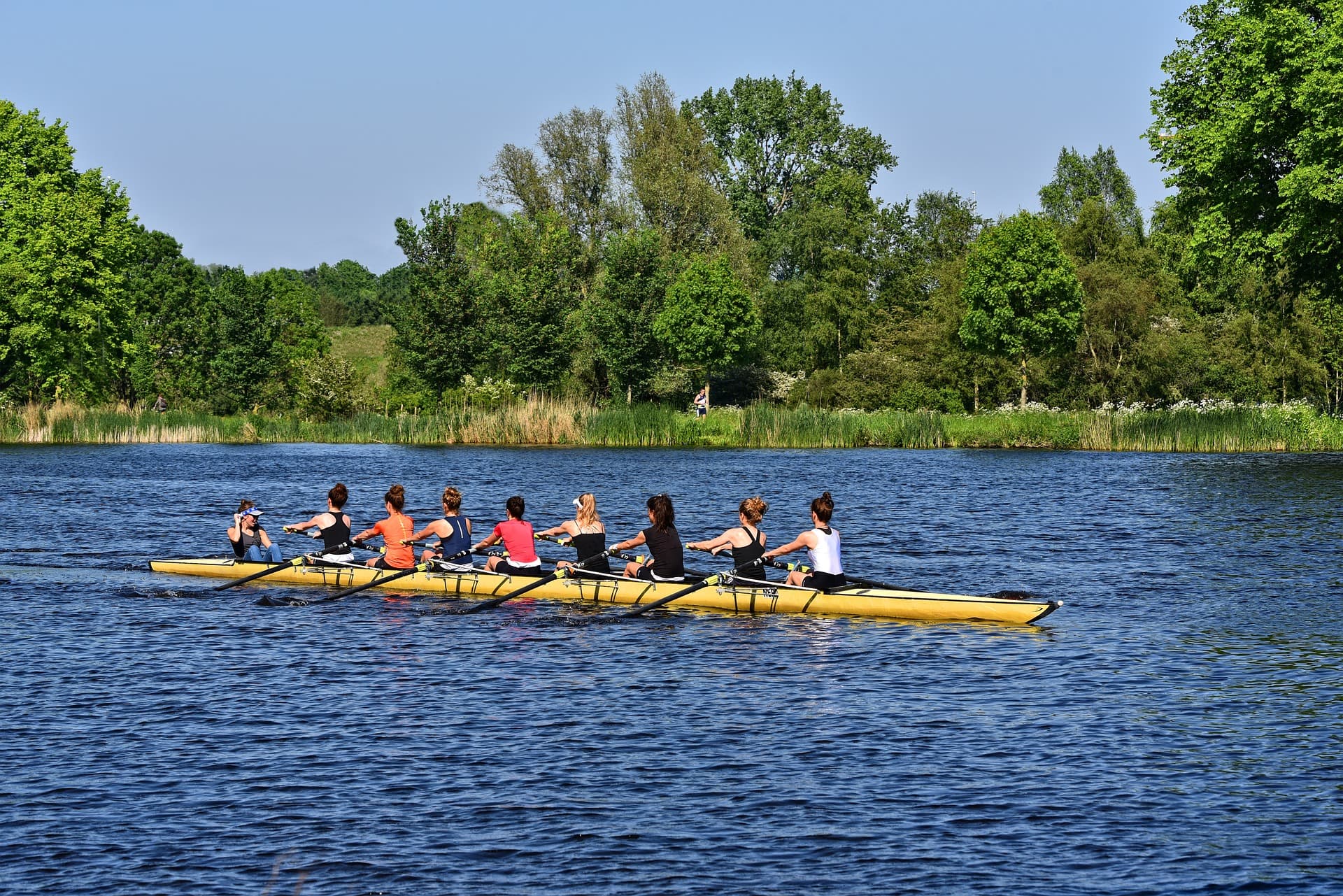Picture of people rowing in an 8